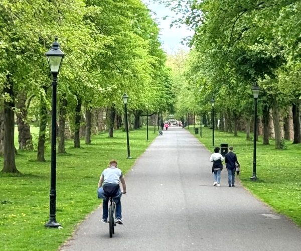 Tree-lined path through Sefton Park with a cyclist and people walking beneath tall green trees and a Victorian lamppost.